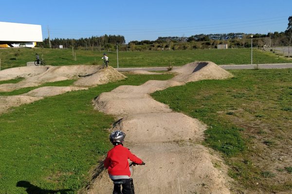 IMG_20200125_105301 IMG_20200125_105301