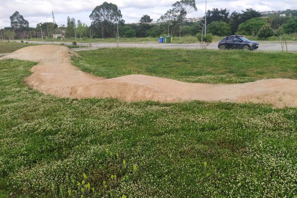 IMG_20200413_174735 IMG_20200413_174735