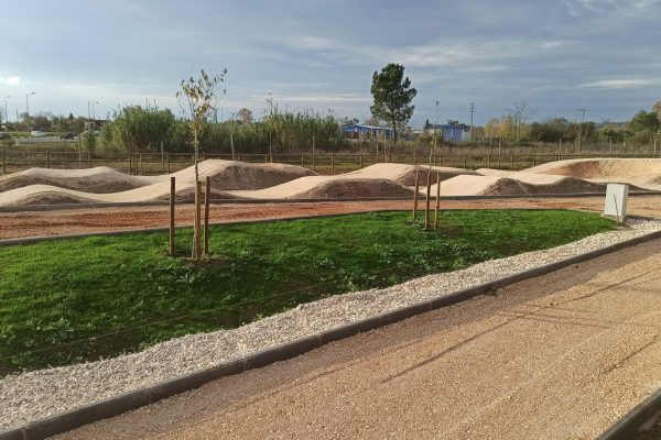 IMG_20201111_154315 IMG_20201111_154315