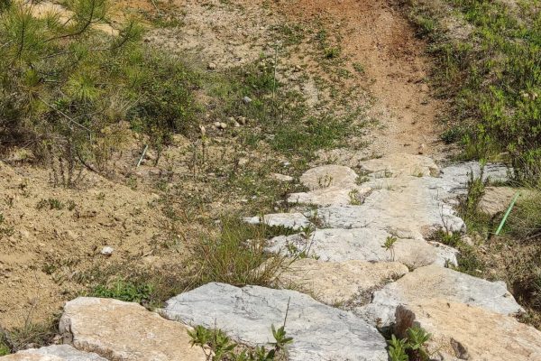 IMG_20220427_112518 IMG_20220427_112518