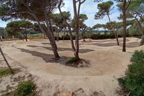 IMG_20220502_165800 IMG_20220502_165800