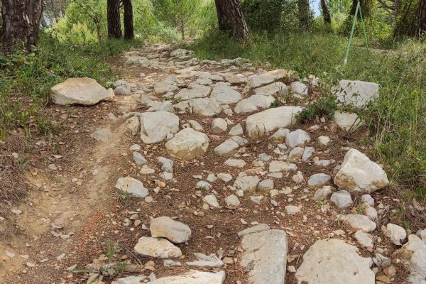 IMG_20220512_105936 IMG_20220512_105936