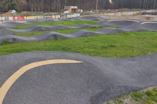 IMG_20240121_174253 IMG_20240121_174253