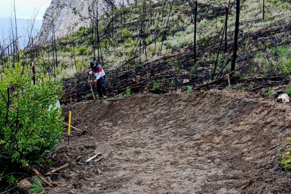 WhatsApp Image 2026-01-29 at 21.49.01