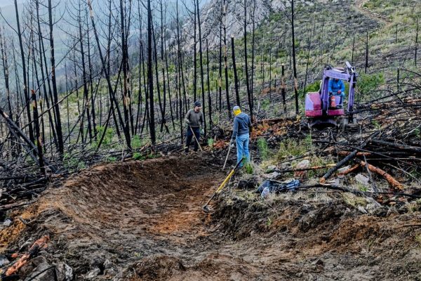 WhatsApp Image 2026-01-29 at 21.49.33