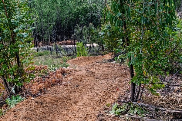 WhatsApp Image 2026-01-29 at 21.50.13