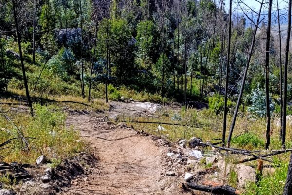 WhatsApp Image 2026-01-29 at 21.52.07